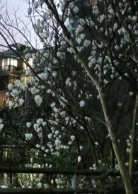 各取所需(1v1/高干/破镜重圆)